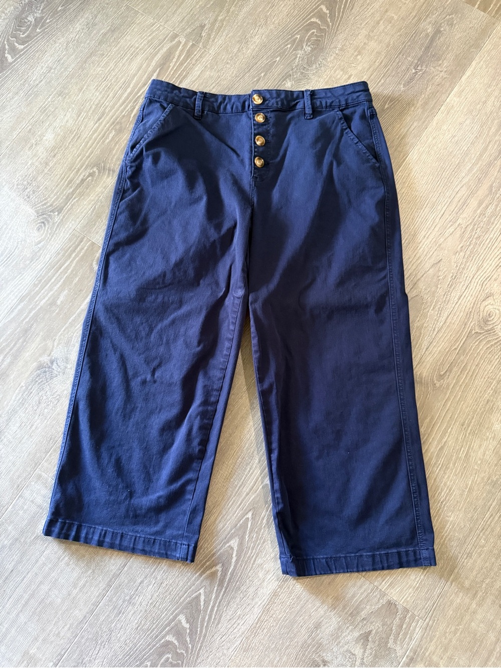 Tribal Navy Button-Front Chino Pants with Gold Buttons